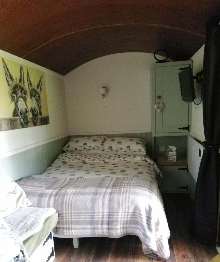 Hotel Durham Donkey Rescue Shepherd'S Hut Extérieur photo