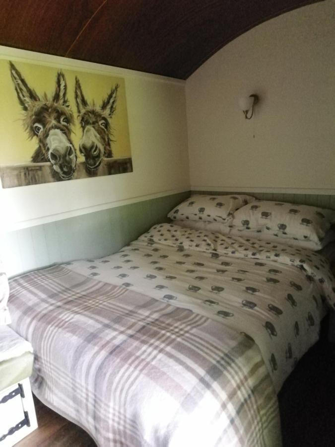 Hotel Durham Donkey Rescue Shepherd'S Hut Extérieur photo