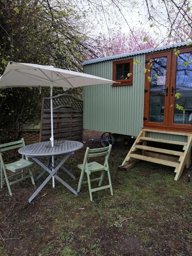 Hotel Durham Donkey Rescue Shepherd'S Hut Extérieur photo
