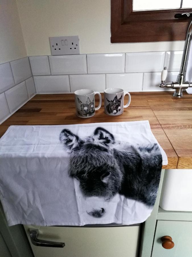 Hotel Durham Donkey Rescue Shepherd'S Hut Extérieur photo